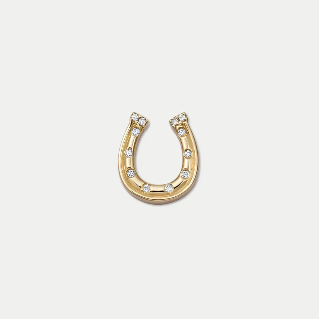 Horseshoe luck Charm